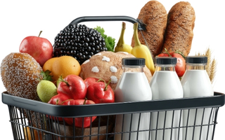 Milk, paneer, butter and dairy products